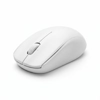 Wireless Mouse